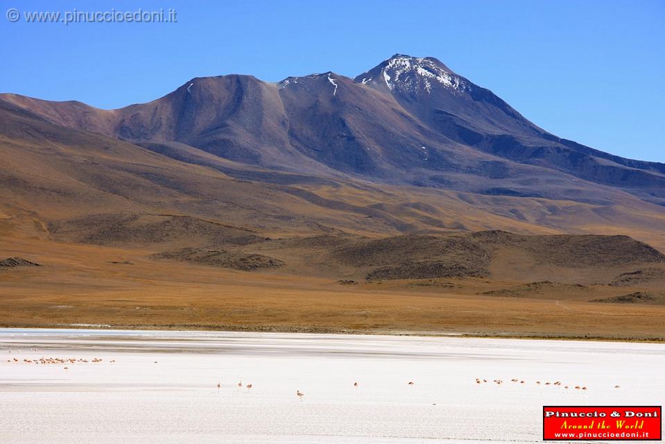 BOLIVIA 2 - Ruta de Las Joyas - Laguna Hedionda - 25.jpg